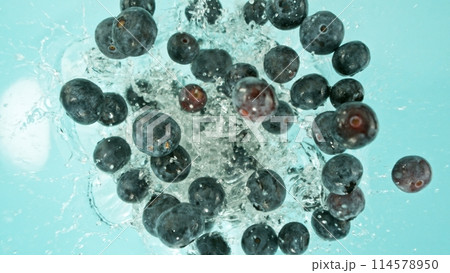 Freeze Motion of Blueberries Falling into Water, Splashing. Freeze Motion of Blueberries Falling into Water, Splashing. 114578950
