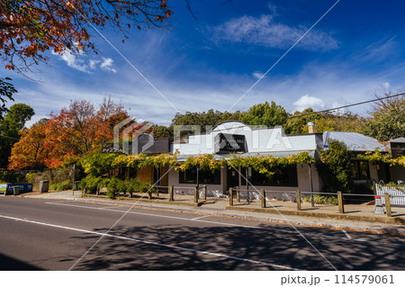 Township of Kallista in Australia 114579061