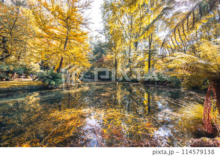 Alfred Nicholas Memorial Gardens in Australia Alfred Nicholas Memorial Gardens in Australia 114579138