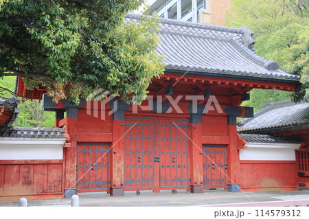 東京大学の赤門 東京大学の赤門 114579312