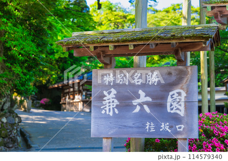 春の兼六園 桂坂口 春の兼六園 桂坂口 114579340