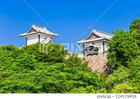 春の金沢城公園 春の金沢城公園 114579416