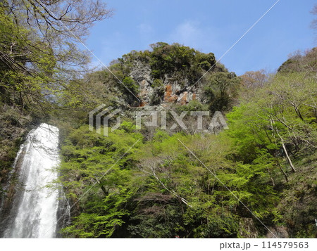 箕面の大滝と山 箕面の大滝と山 114579563