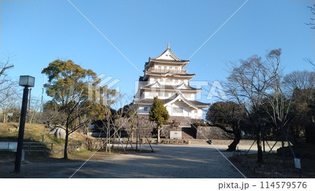 千葉市にある亥鼻城(千葉城)の遠景 114579576