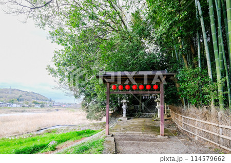 東京都　羽村市　春　阿蘇神社　参道　玉川沿いの遊歩道 114579662