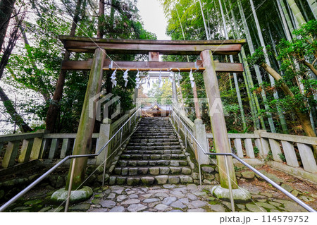 東京都 羽村市 春 阿蘇神社 南参道鳥居 東京都 羽村市 春 阿蘇神社 南参道鳥居 114579752