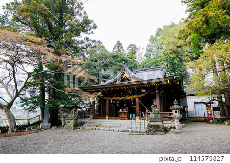 東京都 羽村市 春 阿蘇神社 本殿 東京都 羽村市 春 阿蘇神社 本殿 114579827