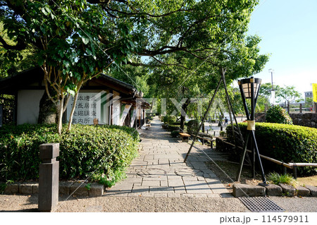 岐阜県岐阜市_岐阜公園1_2023年8月 114579911