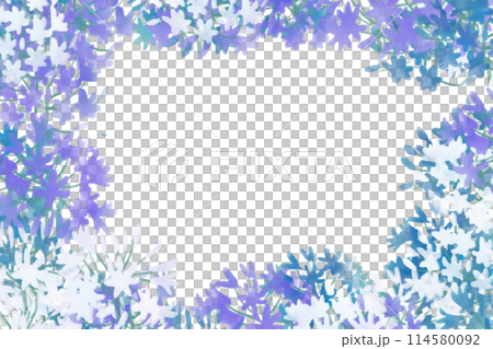 百子蓮花卡 4 114580092