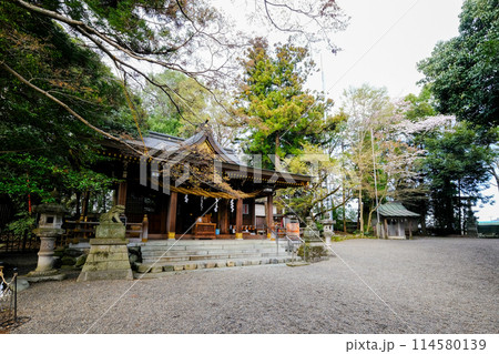 東京都 羽村市 春 阿蘇神社 本殿 東京都 羽村市 春 阿蘇神社 本殿 114580139