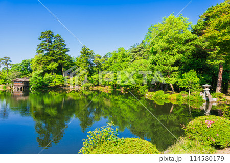 春の兼六園　霞ヶ池と徽軫灯籠 114580179