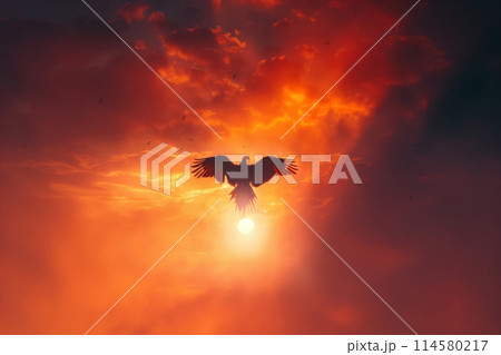 Sunrise Flight of the Phoenix 114580217