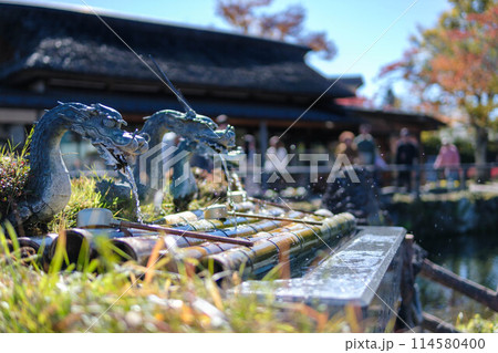 忍野八海の龍の吐水口 114580400