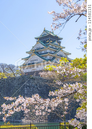 【桜】春の大阪城公園【大阪城天守閣】 【桜】春の大阪城公園【大阪城天守閣】 114581131