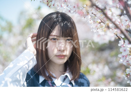 桜と女子高生 桜と女子高生 114581622