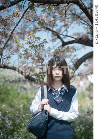 桜と女子高生 114581640