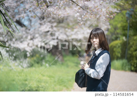 桜と女子高生 114581654