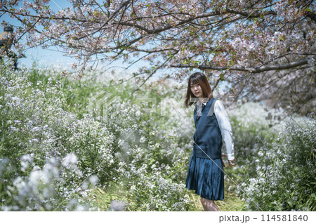 桜と女子高生 桜と女子高生 114581840
