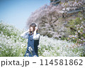 ヘッドフォンと桜と女子高生 114581862