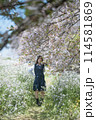 桜と女子高生 114581869
