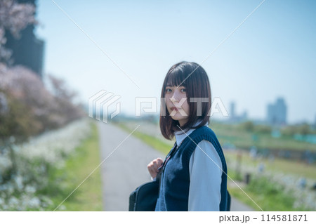 桜と女子高生 114581871