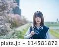 桜と女子高生 114581872