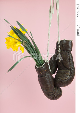a pair of old boxing gloves hacked to become a vase 114582301
