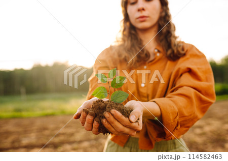 Farmer's hand holding a green young plant and earthy handful. Concepts of ecology and gardening. 114582463