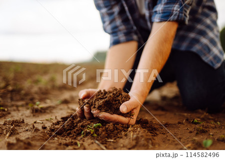 Close-up of a farmer's strong hands on a black field. Concept of gardening, ecology. 114582496