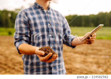 Gardening or ecology concept. Farmer's hands collects soil and checks its health before growing crop 114582562
