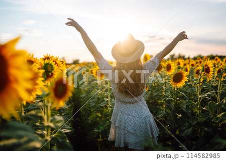 Sunny beautiful photo of happy woman, enjoying warm weather, walking in blooming sunflower field. 114582985