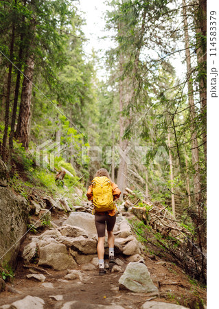 Smiling woman traveler along a forest hiking trail in the mountains against the backdrop of nature. Smiling woman traveler along a forest hiking trail in the mountains against the backdrop of nature. 114583379
