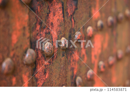 Rusted stake of ancient door, lock on old wooden main shrine door. Rusted stake of ancient door, lock on old wooden main shrine door. 114583871