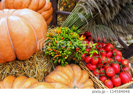 Fresh organic vegetables on farmer market. Local farm bazaar. Assortment of fresh organic harvest garden produce. Bio products, bio ecology. Natural healthy food festival. Agricultural rustic fair 114584048