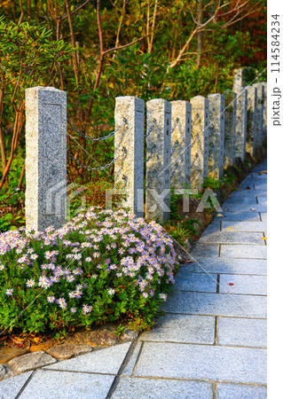 Terrazzo fence along the Concrete walkways in the garden. Terrazzo fence along the Concrete walkways in the garden. 114584234