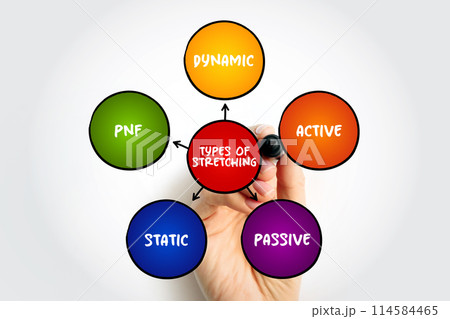 Types of Stretching (form of physical exercise in which a specific muscle or tendon is deliberately flexed or stretched) mind map text concept background Types of Stretching (form of physical exercise in which a specific muscle or tendon is deliberately flexed or stretched) mind map text concept background 114584465