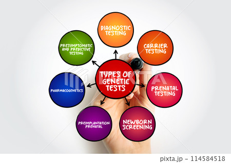 Types of genetic tests mind map text concept for presentations and reports Types of genetic tests mind map text concept for presentations and reports 114584518