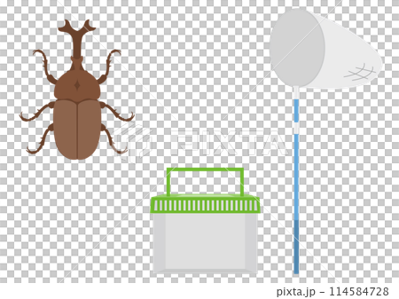 Illustration of a bug net, insect cage, and rhinoceros beetle Illustration of a bug net, insect cage, and rhinoceros beetle 114584728