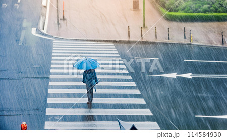 横断歩道に激しく降る雨のイメージ 横断歩道に激しく降る雨のイメージ 114584930