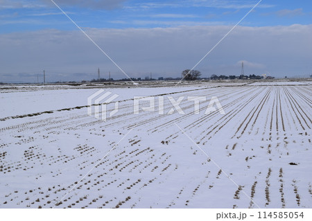 雪国の田園風景 山形県庄内 雪国の田園風景 山形県庄内 114585054