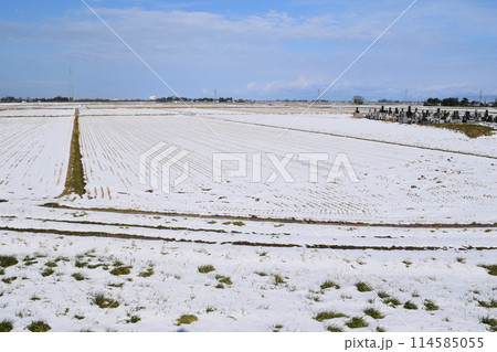 雪国の田園風景 山形県庄内 雪国の田園風景 山形県庄内 114585055