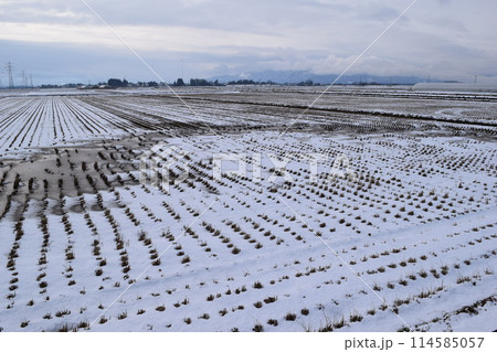 雪国の田園風景 山形県庄内 雪国の田園風景 山形県庄内 114585057