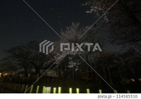 満天の星空の下、咲き誇る山高神代桜 114585510