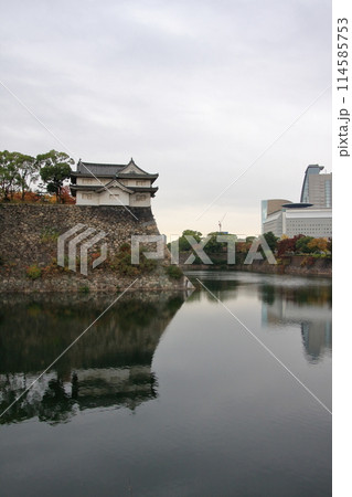 大阪城公園紅葉とリフレクション 大阪城公園紅葉とリフレクション 114585753