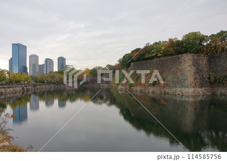 大阪城公園紅葉とリフレクション 114585756