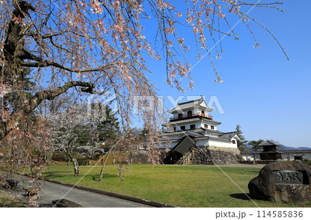 白石城址の桜 114585836