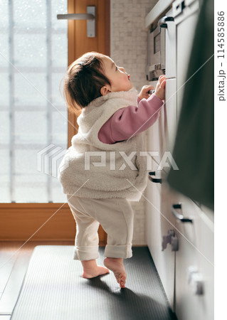 赤ちゃん 生後6ヶ月 赤ちゃん 生後6ヶ月 114585886