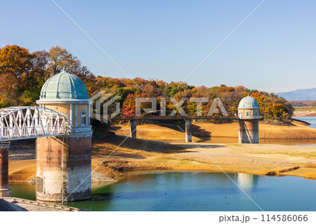 東京多摩地域の秋　紅葉の多摩湖（村山貯水池）・狭山公園 114586066