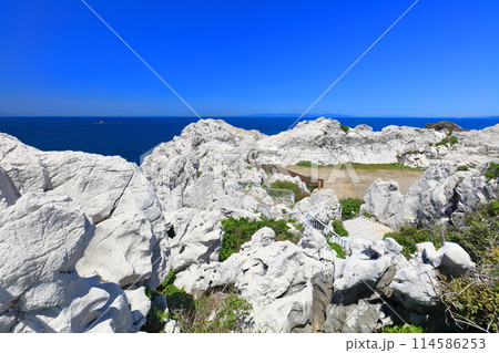【和歌山県】快晴の白崎海洋公園 114586253