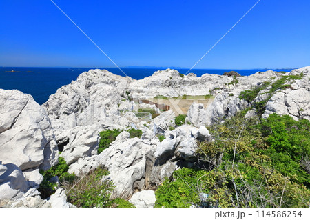 【和歌山県】快晴の白崎海洋公園 114586254